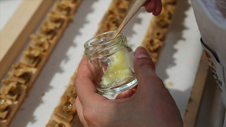 Bir sektör kara kara düşünüyor! Baharın gecikmesi, yeni bir krize neden olabilir - 1. Resim