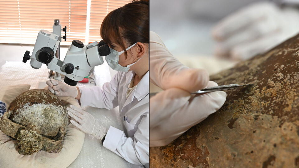 Gazze kıyılarından Antalya'ya geldi! Görenler heyecanlandı, tam 1100 yıllık - 2. Resim