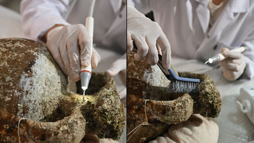 Gazze kıyılarından Antalya'ya geldi! Görenler heyecanlandı, tam 1100 yıllık - 1. Resim