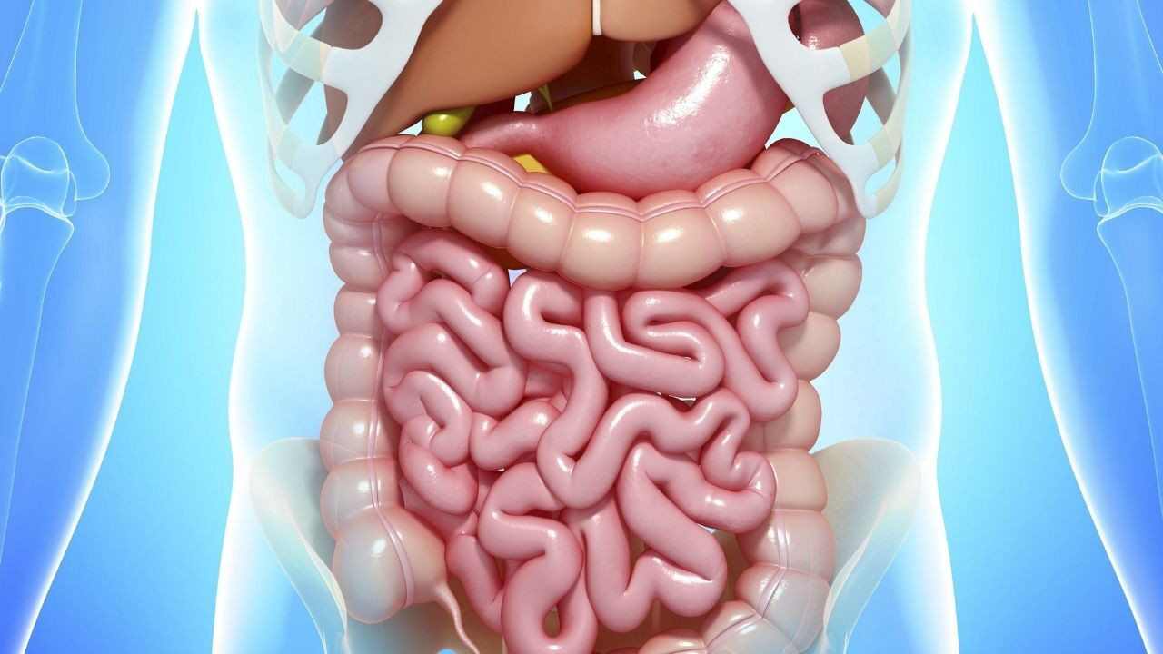 14 gün şekeri bırakın farkı görün: Vücudunuzda olan değişimler 14 gün şekeri bırakın farkı görün: Vücudunuzda olan değişimler - 3. Resim