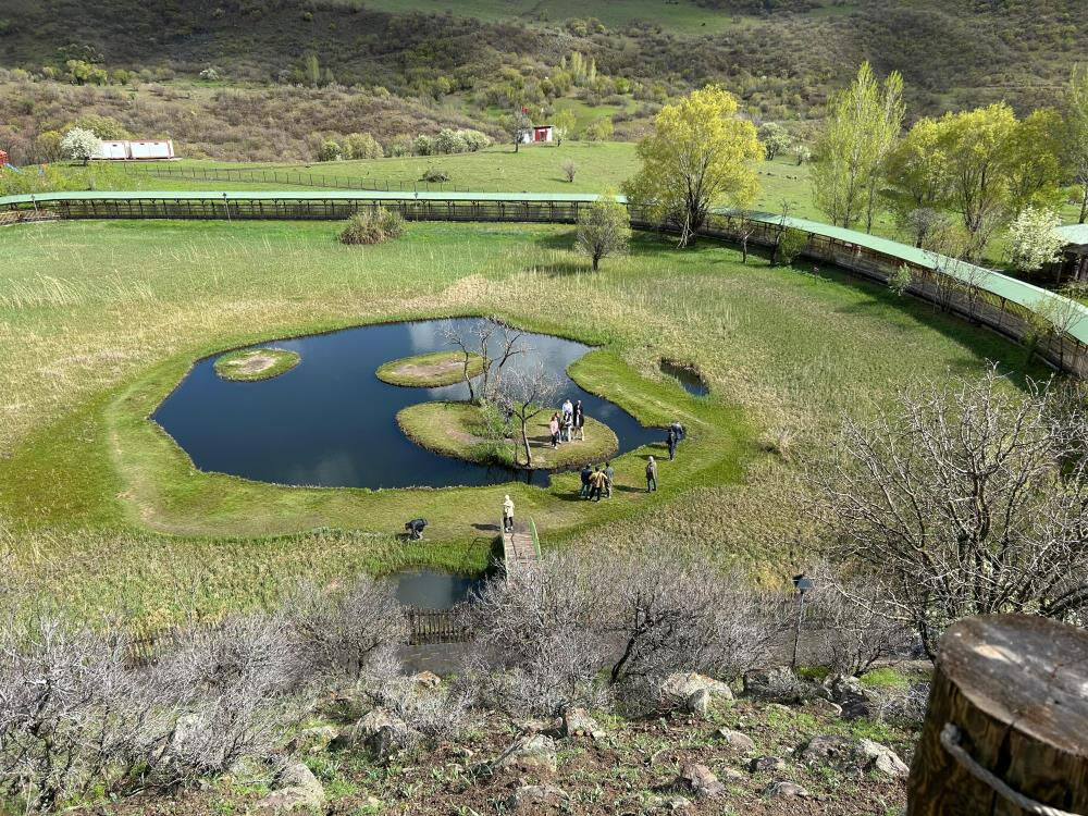 Bingöl'de fay hatlarını yerinde incelediler:  Bingöl'de fay hatlarını yerinde incelediler: