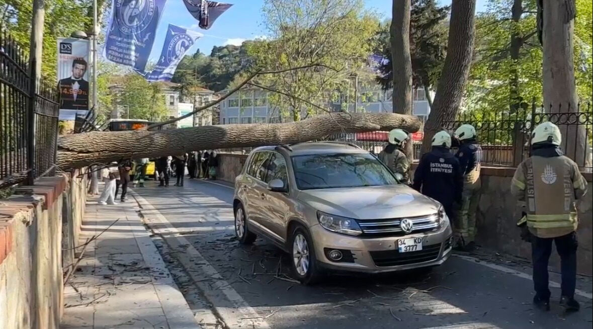 İstanbul'da şiddetli rüzgar! Ağaçlar devrildi, çatılar uçtu, ulaşım aksadı - 1. Resim