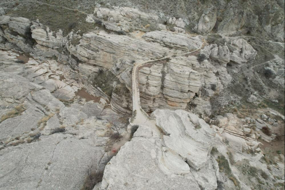 Türkiye'de sadece 2 tane var! Ürkütücü görüntüsü dikkat çekiyor Türkiye'de sadece 2 tane var! Ürkütücü görüntüsü dikkat çekiyor - 1. Resim