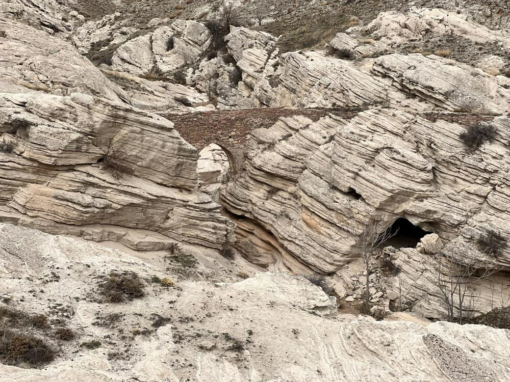 Türkiye'de sadece 2 tane var! Ürkütücü görüntüsü dikkat çekiyor Türkiye'de sadece 2 tane var! Ürkütücü görüntüsü dikkat çekiyor - 2. Resim