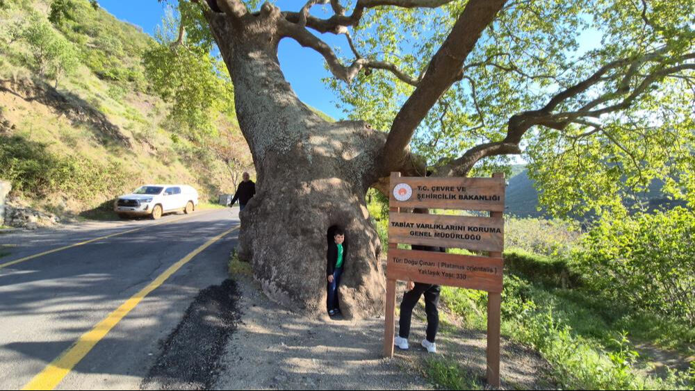 2 devlet, 15 padişah, 12 cumhurbaşkanı gördü! Tam 330 yıllık 2 devlet, 15 padişah, 12 cumhurbaşkanı gördü! Tam 330 yıllık - 1. Resim