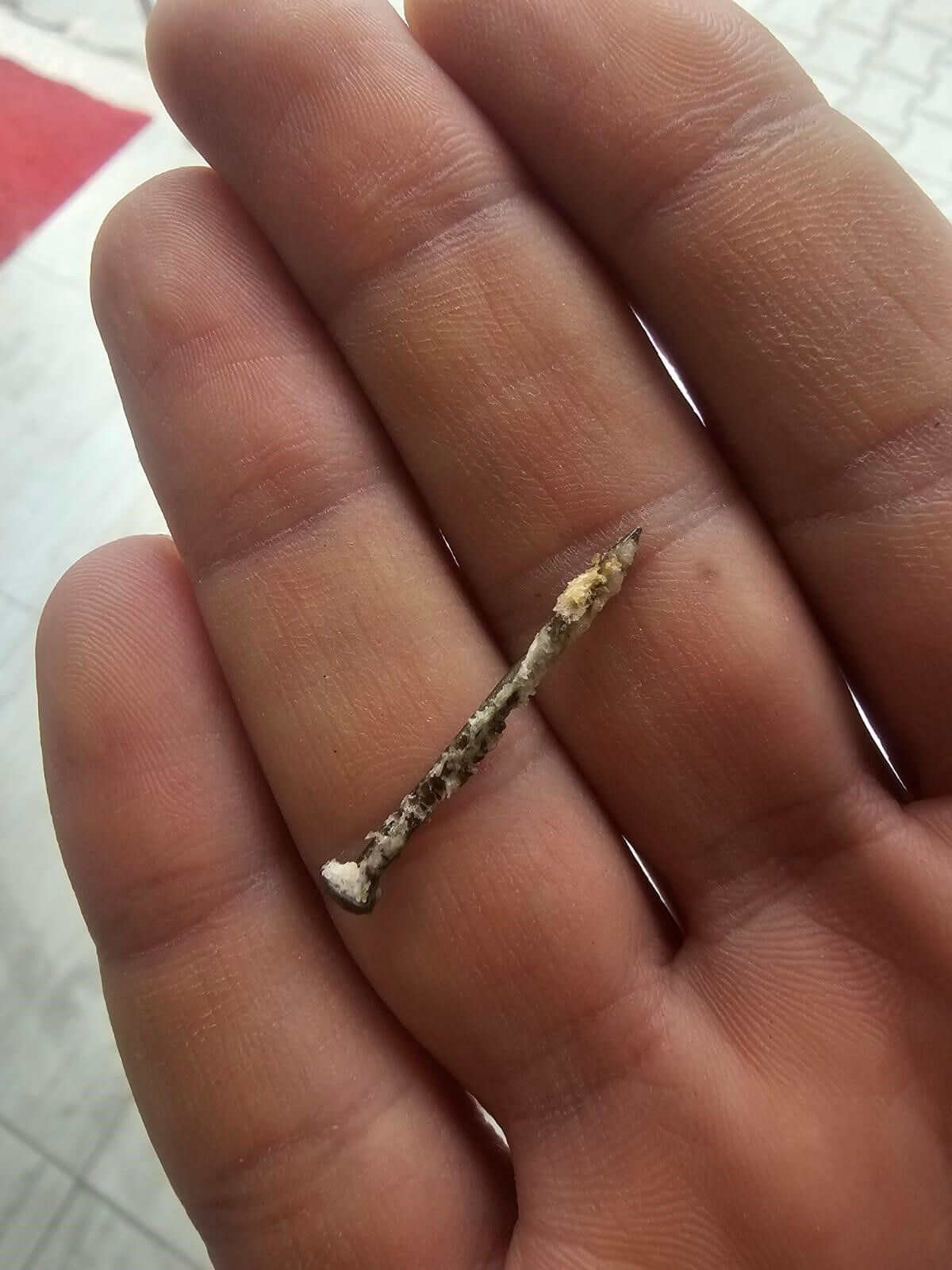 Ağzına atmasıyla fark etmesi bir oldu! Ekmekten bu da çıktı - 3. Resim