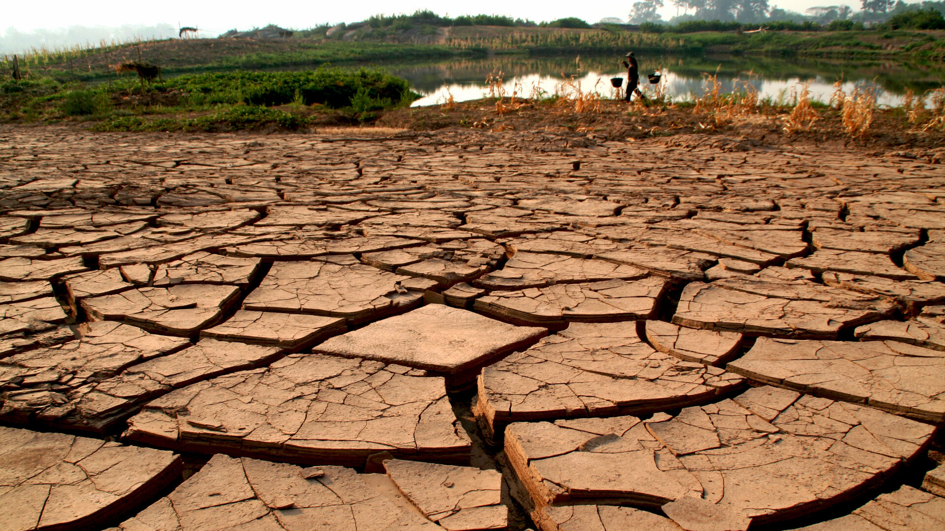 Deprem olmayan bir dünya hayal edin! Gerçekten daha güvenli mi yoksa bir felaket mi? - 1. Resim