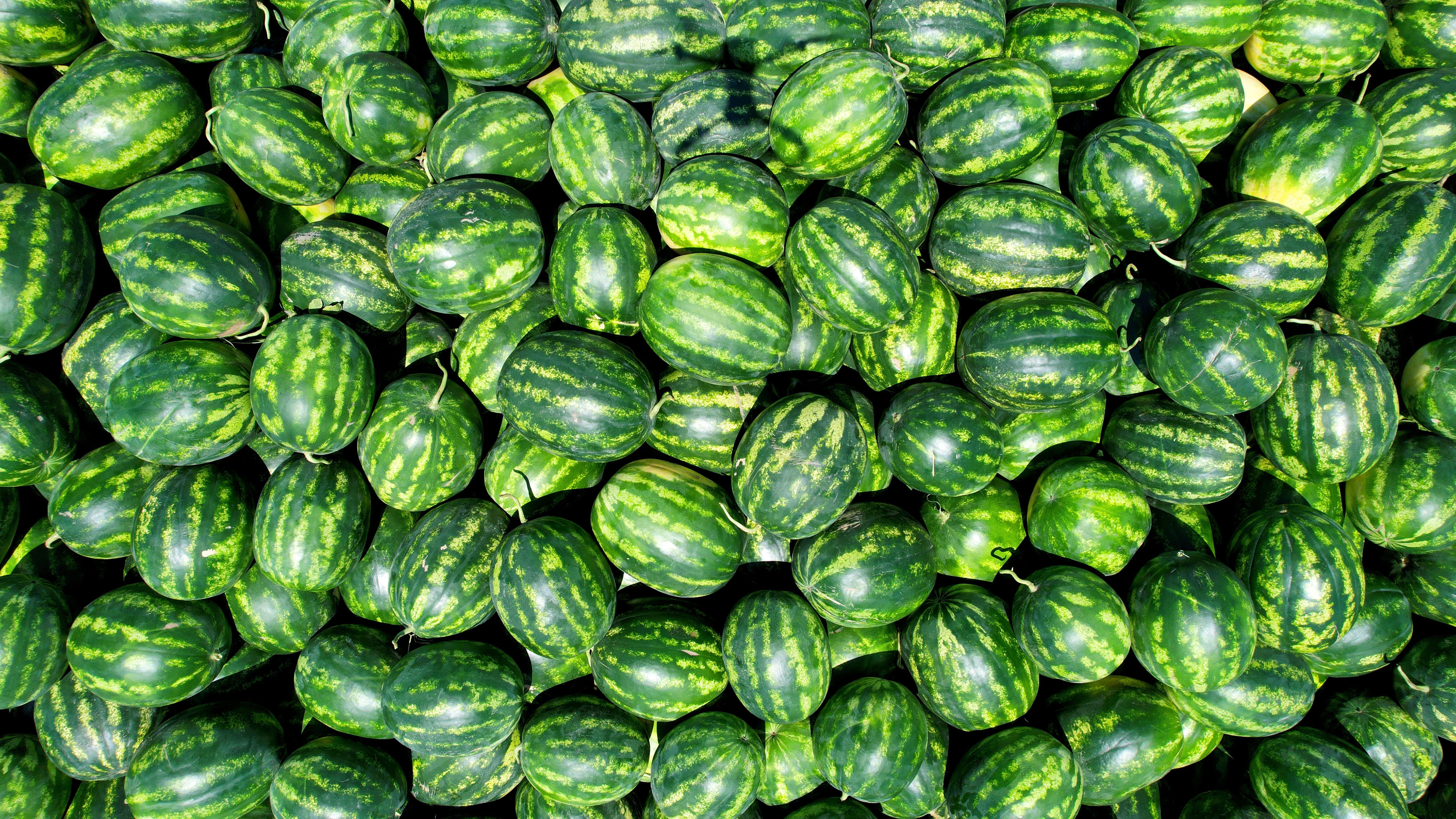 Dünyada ikinci sıradayız: Bu yıl kilosu 10 liradan satılacak! - 1. Resim