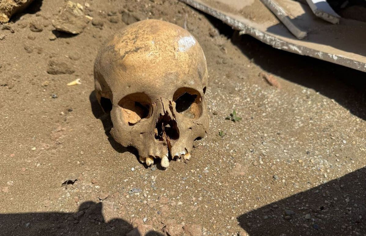 Ekipleri harekete geçiren olay! Kafatası gören işçiler telefona sarıldı Ekipleri harekete geçiren olay! Kafatası gören işçiler telefona sarıldı - 1. Resim