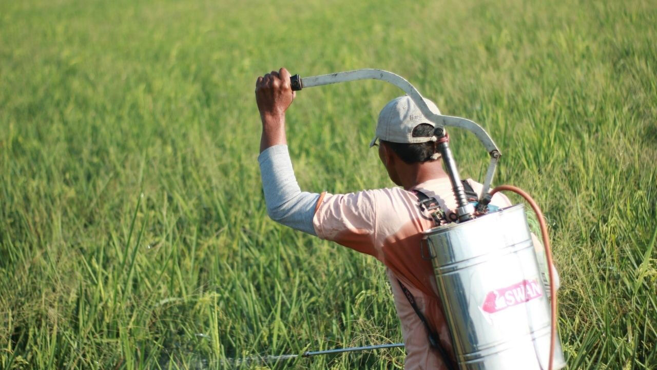 Gıdalardaki pestisit bu yöntemle temizleniyor: İşte doğal çözüm - 1. Resim