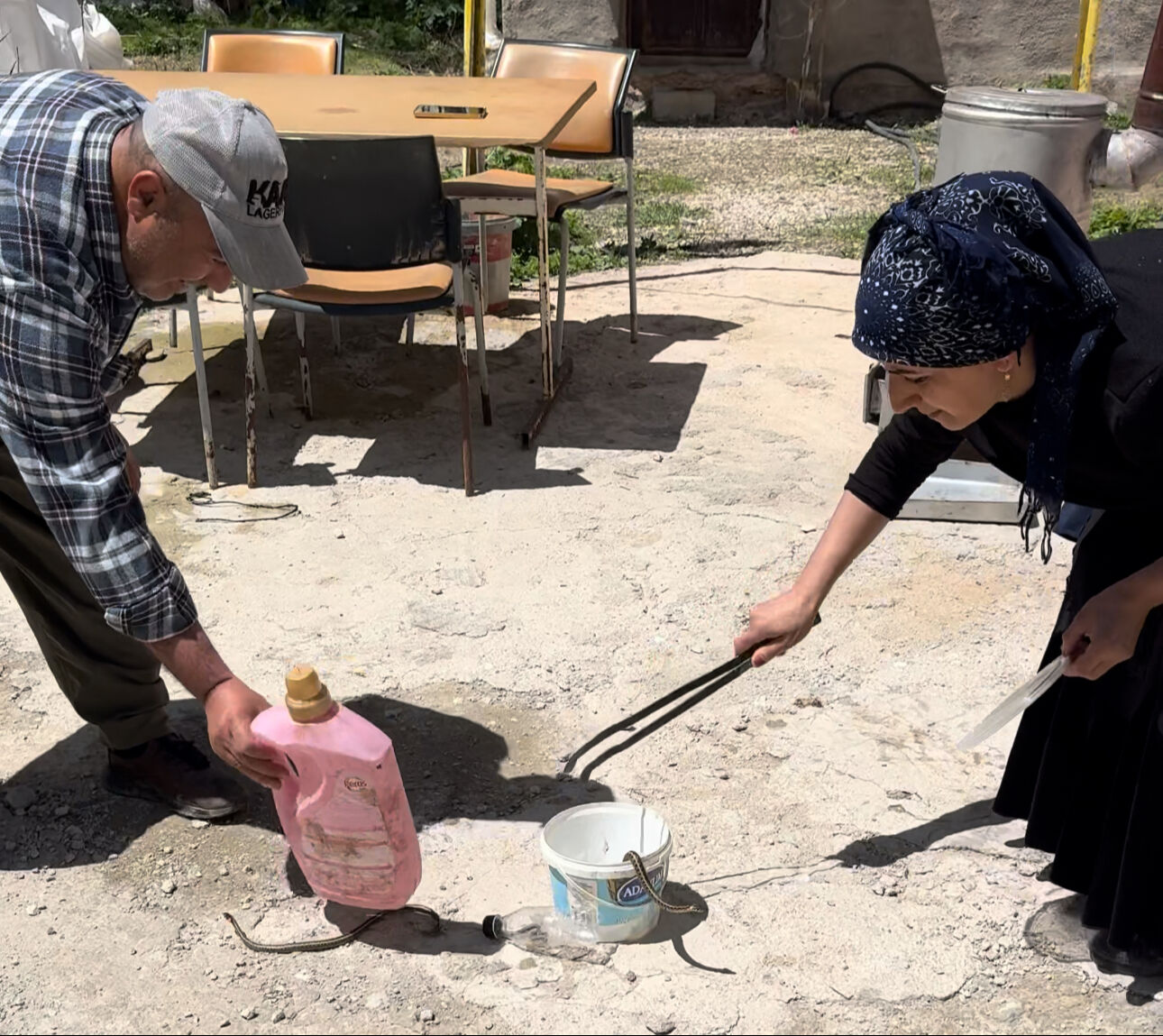 Hayatları kabusa döndü! Her gün en az 10 tane yakalıyor, yastığın yorganın altından çıkıyor - 2. Resim