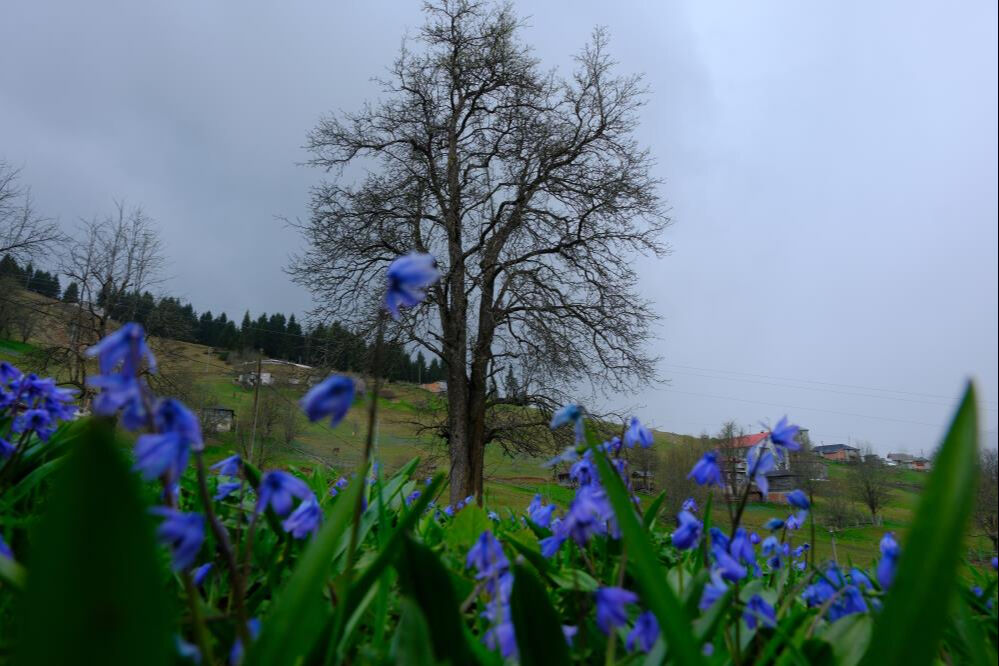Masalsı atmosfer, unutulmaz deneyim! Bu köye gelen hayran kalıyor - 2. Resim