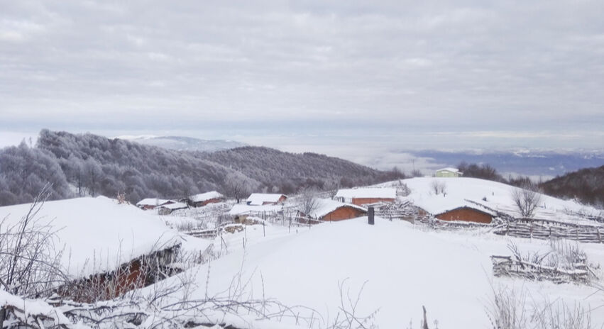 Tam bahar geldi derken... Bir kente lapa lapa kar yağıyor Tam bahar geldi derken... Bir kente lapa lapa kar yağıyor - 1. Resim