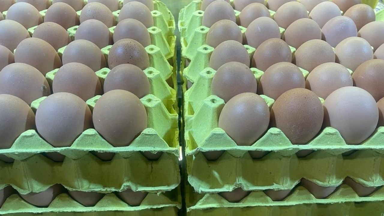 Yumurta fiyatları yüzde 55 düştü: İşte sebebi! - 1. Resim