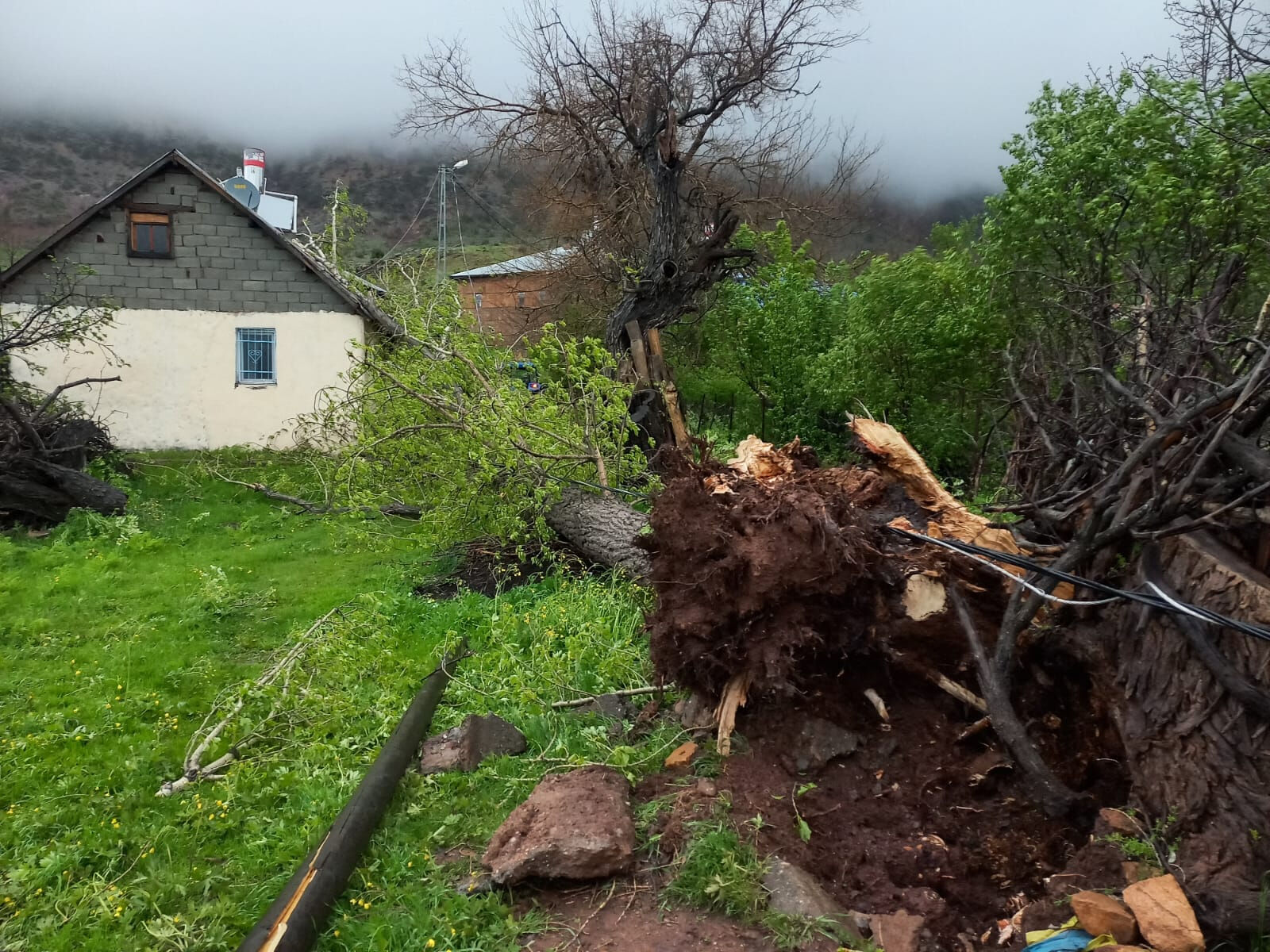 Ağaçlar kökünden söküldü, çatılar uçtu! Tunceli fırtınaya teslim oldu - 2. Resim