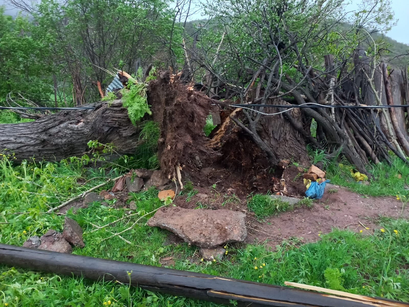 Ağaçlar kökünden söküldü, çatılar uçtu! Tunceli fırtınaya teslim oldu - 3. Resim