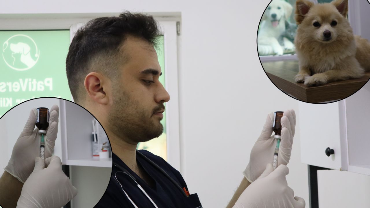 &quot;İnsanlara da bulaşıyor&quot; diyerek uyardı: Özellikle yaz mevsiminde dikkat edilmeli!