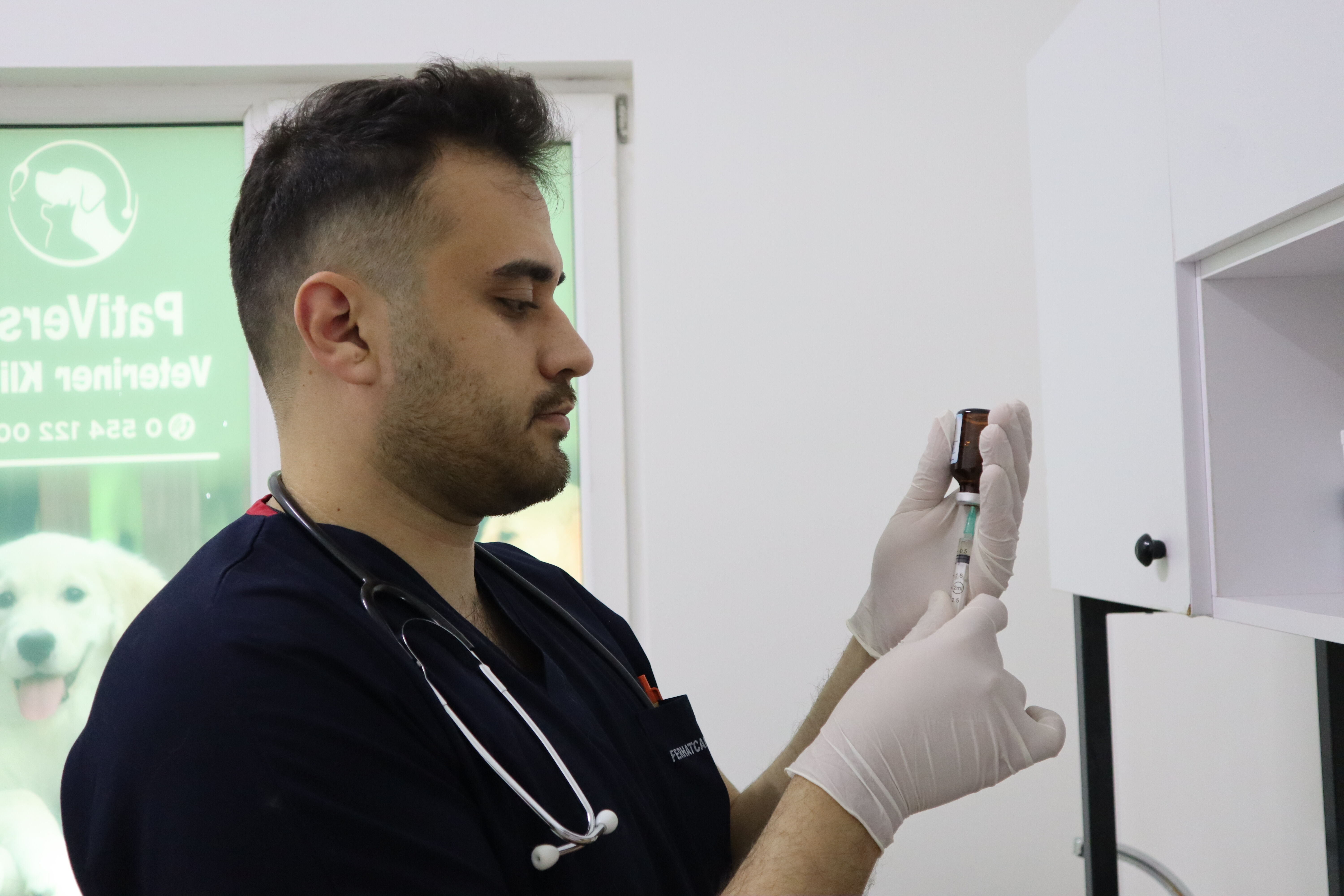 "İnsanlara da bulaşıyor" diyerek uyardı! Özellikle yaz mevsiminde dikkat edilmeli - 1. Resim