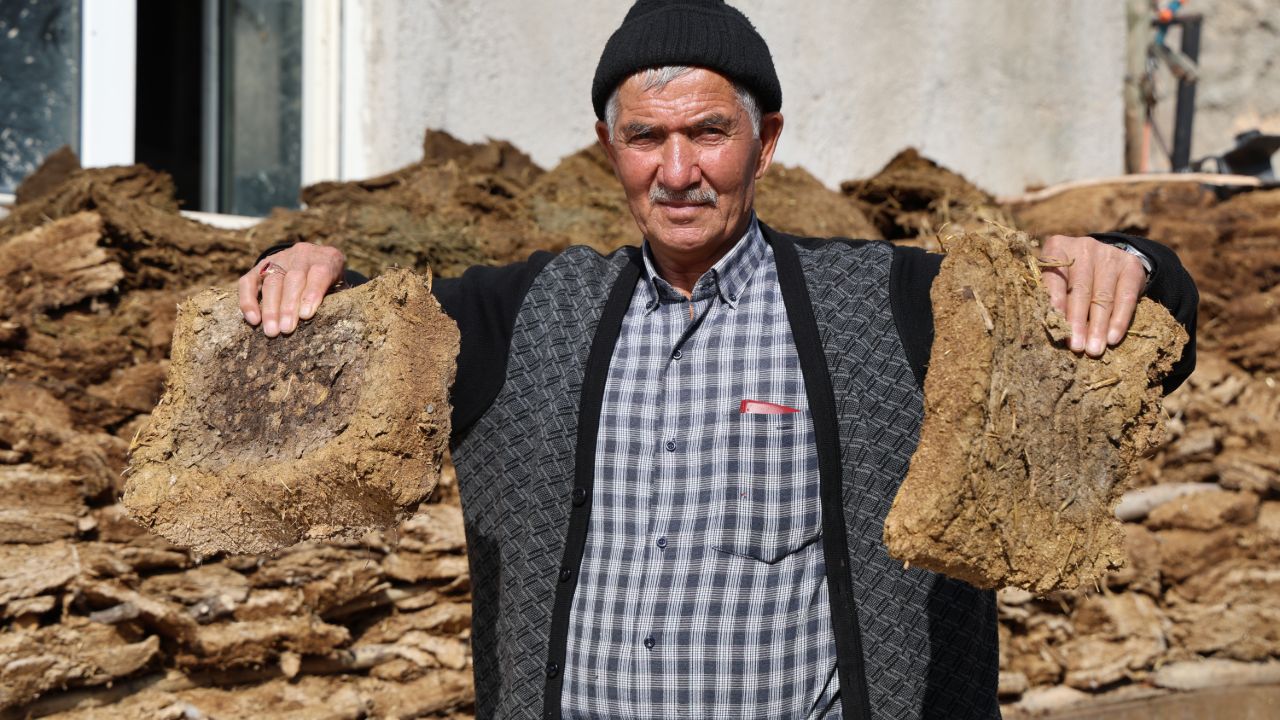 Yaşam