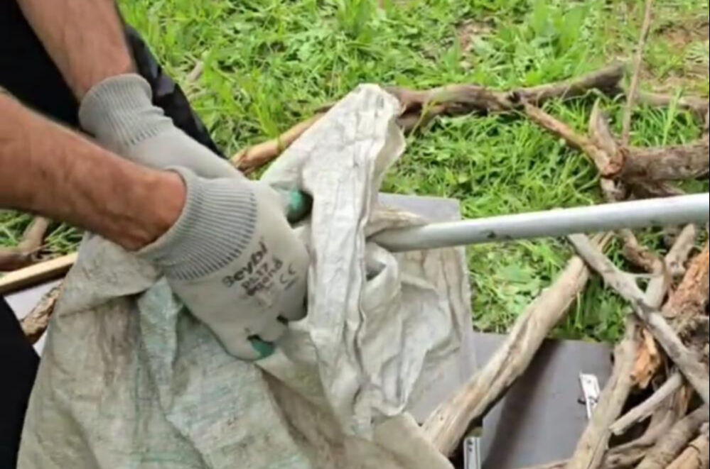 Odun almaya giden kadın devasa yılanla karşılaştı Odun almaya giden kadın devasa yılanla karşılaştı - 1. Resim