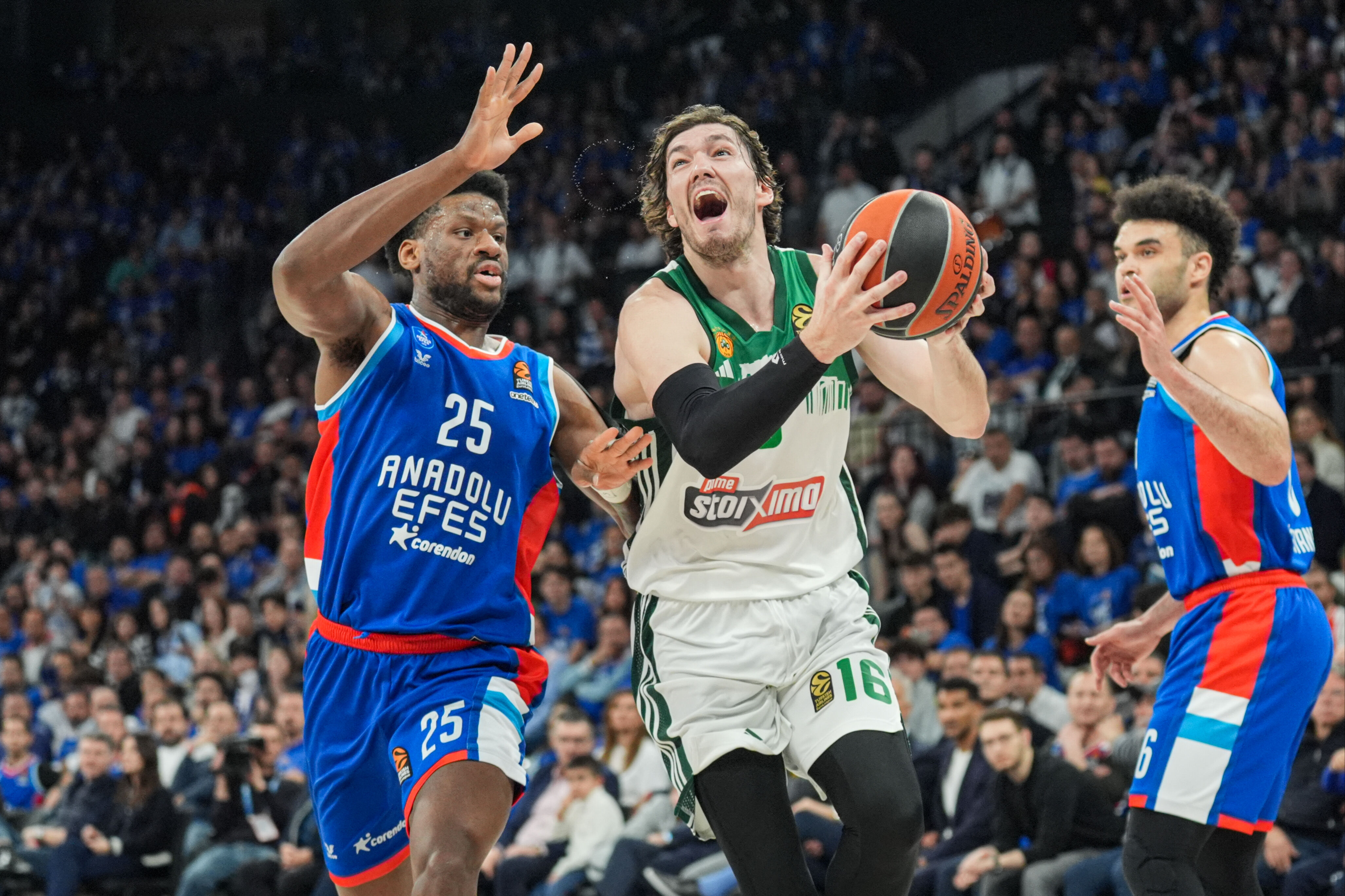 Anadolu Efes, Panathinaikos'u mağlup etti! Ergin Ataman sahayı terk etti - 3. Resim