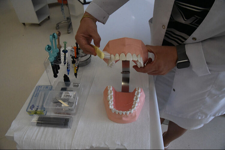 Artık dolgu yaptırmayacaksınız: Yeni teknoloji dişlerin kendini onarmasını sağlıyor! Artık dolgu yaptırmayacaksınız: Yeni teknoloji dişlerin kendini onarmasını sağlıyor! - 3. Resim