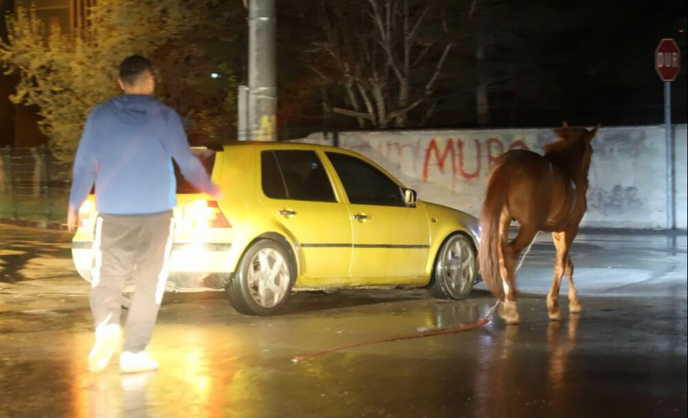 Başıboş at ihbarına belediyeden olay cevap: Atı bağlayın, sabah ekip göndeririz Başıboş at ihbarına belediyeden olay cevap: Atı bağlayın, sabah ekip göndeririz - 4. Resim