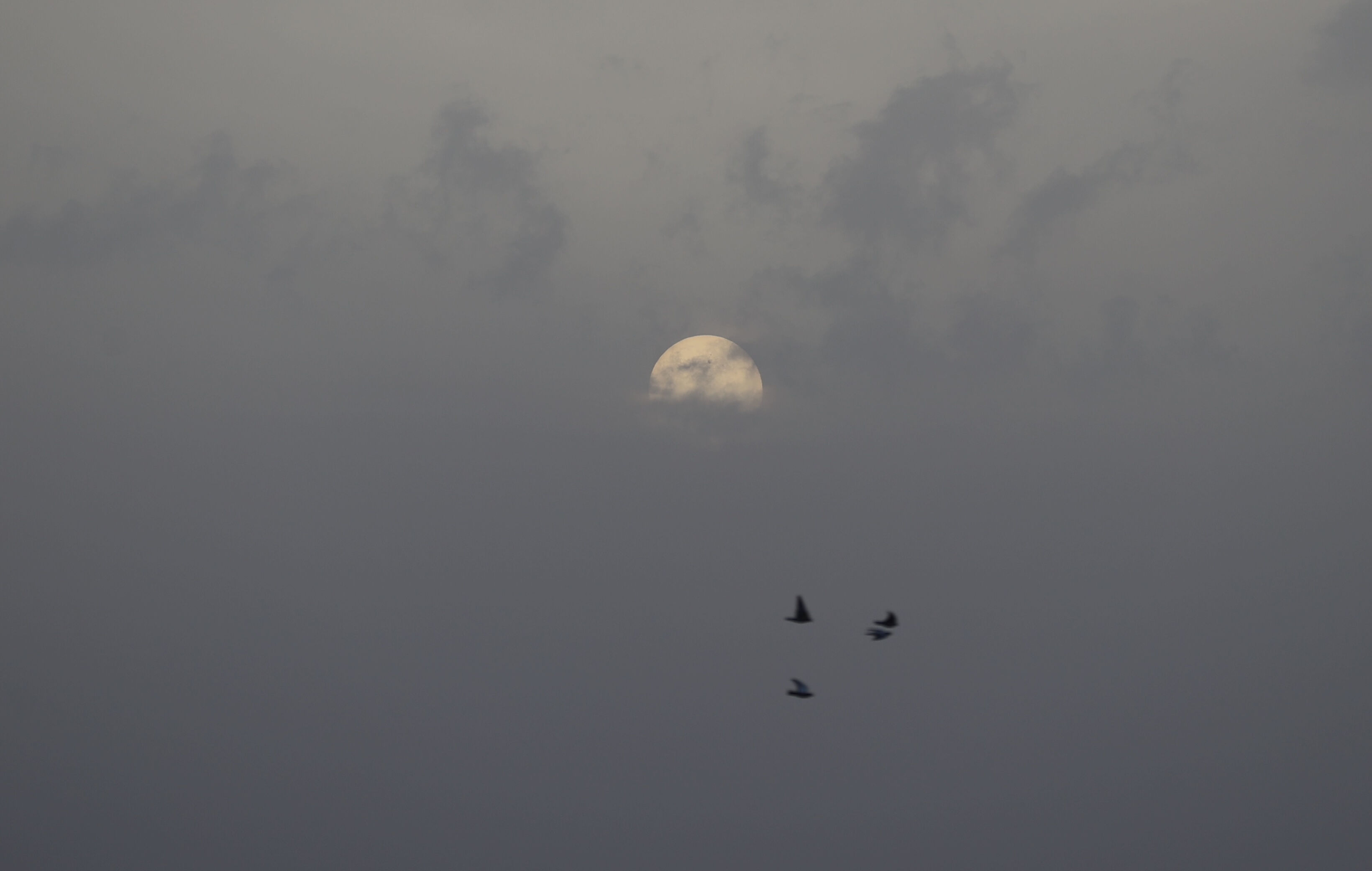 Bir kentimizi etkisi altına aldı! Uzmanlar uyardı: Zorunlu olmadıkça dışarı çıkmayın - 1. Resim