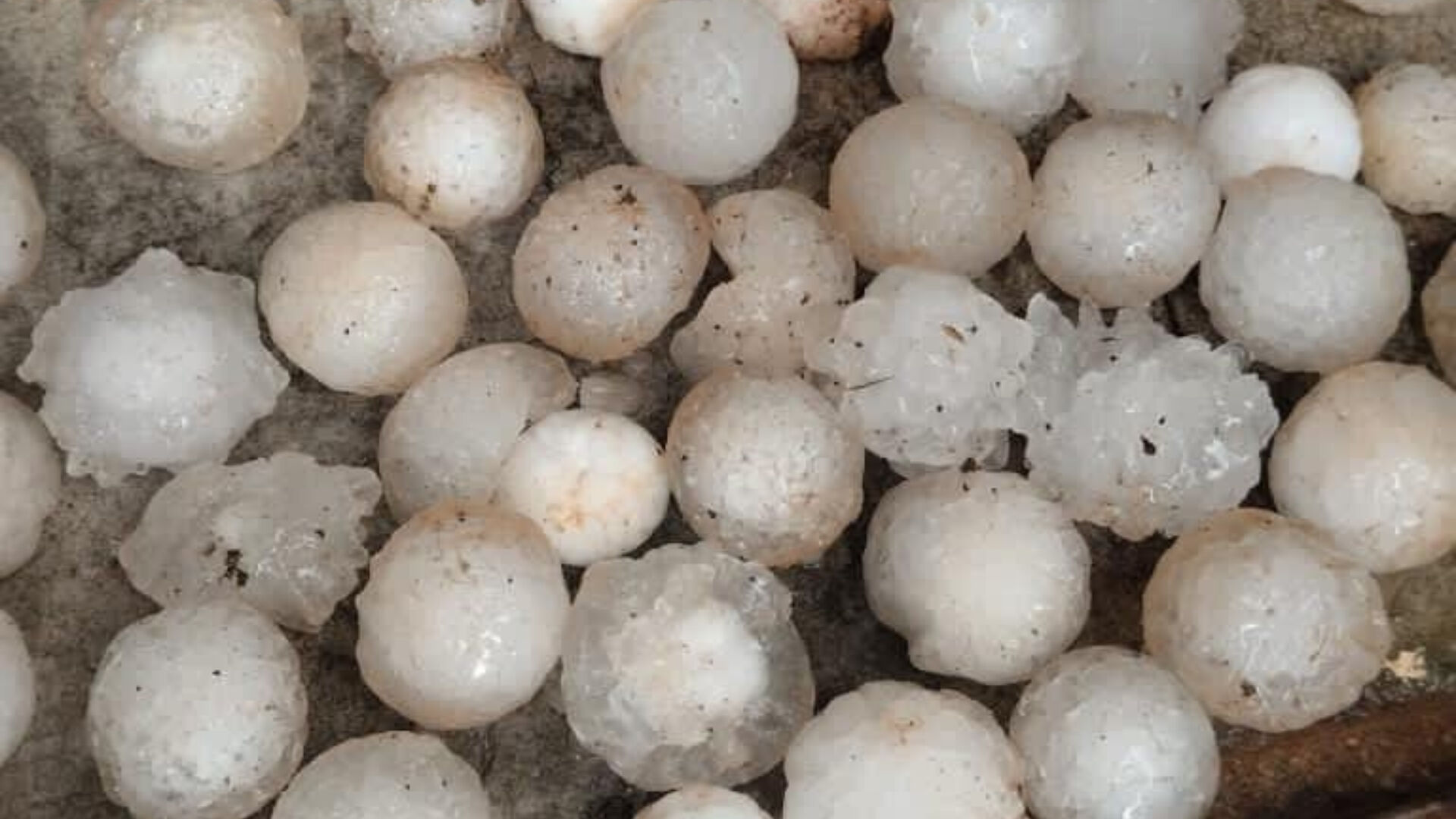Çapını gören şaştı kaldı: Şanlıurfa'ya kar topu büyüklüğünde dolu yağdı! Tarım arazileri ve araçlar zarar gördü - 1. Resim