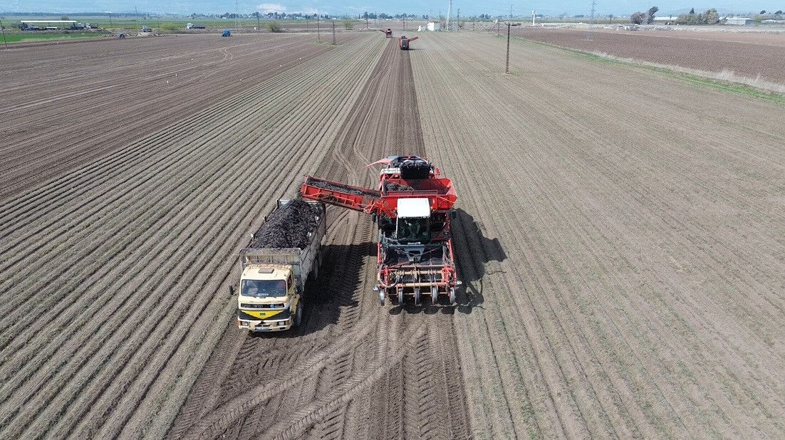 Hasat başladı! Bu yıl verim 2 katına çıktı, üretici bayram ediyor Hasat başladı! Bu yıl verim 2 katına çıktı, üretici bayram ediyor - 1. Resim