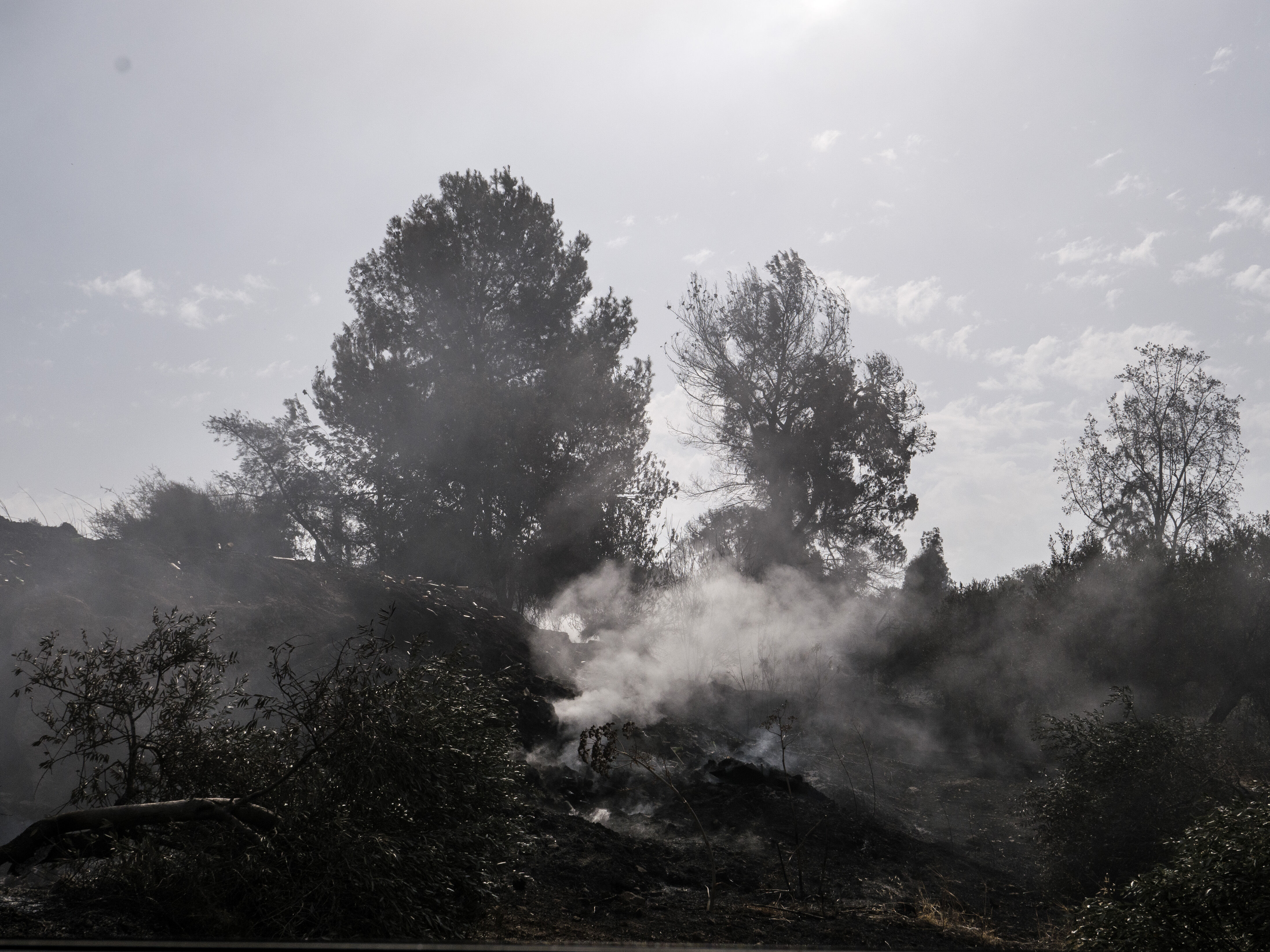 İsrail'de yangın mı çıktı? Sosyal medyadaki görüntüler konuşuluyor - 1. Resim