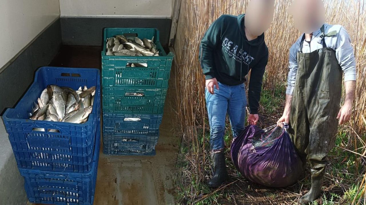 İznik Gölü'nde kaçak avcılığa operasyon: 164 bin 595 TL ceza İznik Gölü'nde kaçak avcılığa operasyon: 164 bin 595 TL ceza