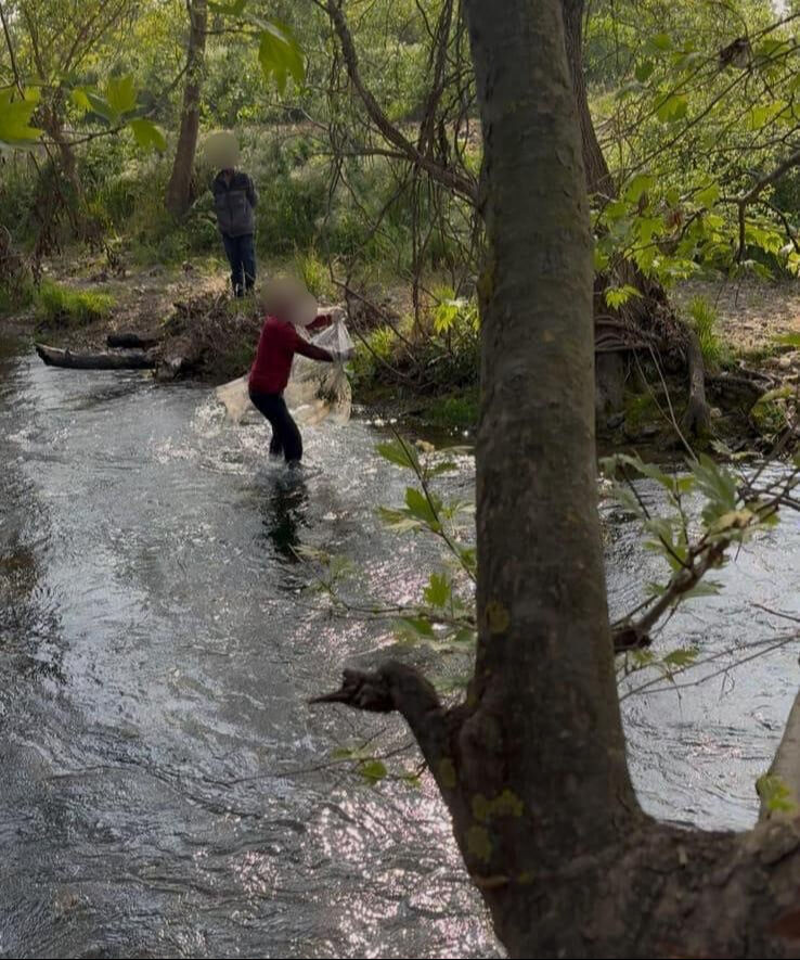 İznik Gölü'nde kaçak avcılığa operasyon: 164 bin 595 TL ceza - 1. Resim