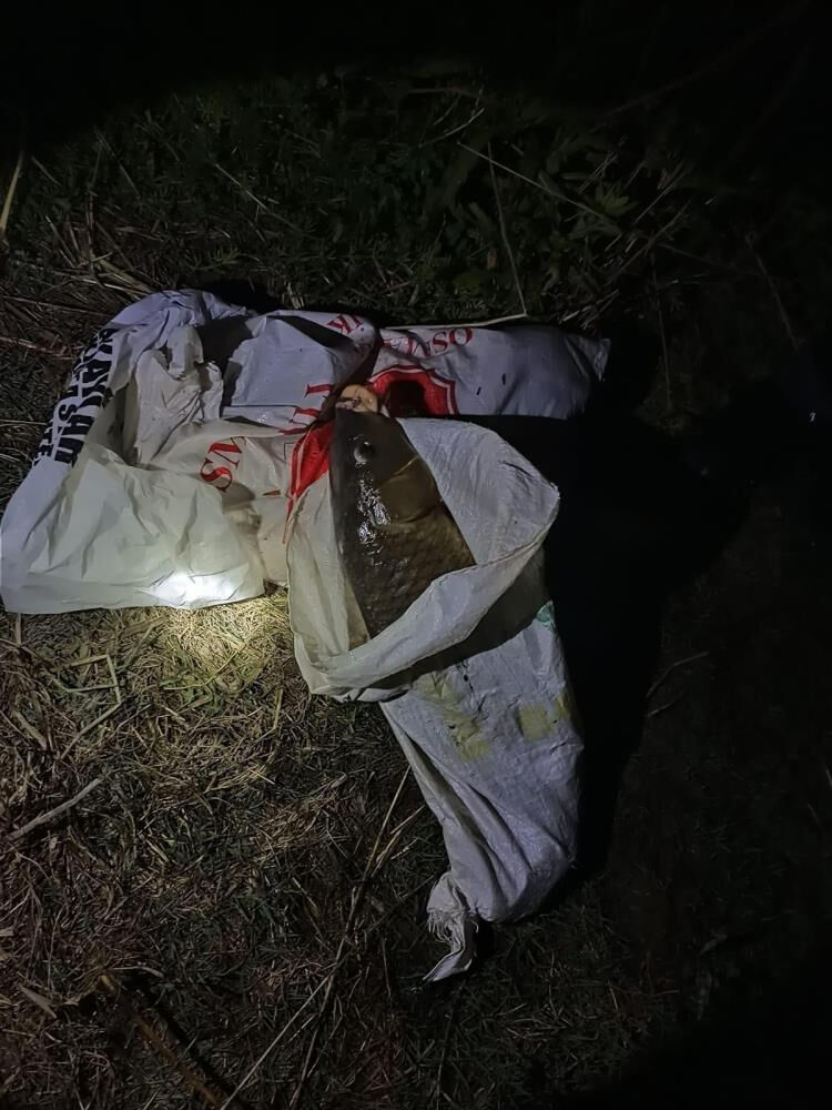 İznik Gölü'nde kaçak avcılığa operasyon: 164 bin 595 TL ceza - 2. Resim