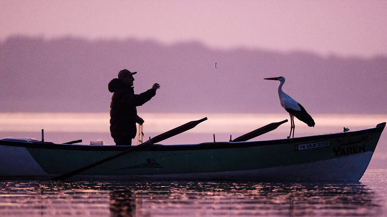Türkiye onu Adem Yılmaz ile olan dostluğu ile tanımıştı! "Yaren leylek" baba oldu Türkiye onu Adem Yılmaz ile olan dostluğu ile tanımıştı! "Yaren leylek" baba oldu - 1. Resim