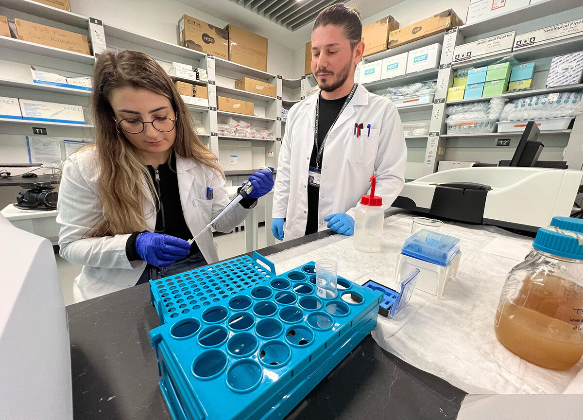 Anadolu akrebi bilimin kıskacında! Zehri sağılıyor, eksi 75 derecede korunuyor Anadolu akrebi bilimin kıskacında! Zehri sağılıyor, eksi 75 derecede korunuyor - 3. Resim