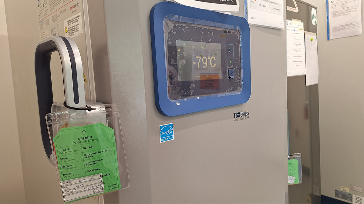 Anadolu akrebi bilimin kıskacında! Zehri sağılıyor, eksi 75 derecede korunuyor Anadolu akrebi bilimin kıskacında! Zehri sağılıyor, eksi 75 derecede korunuyor - 5. Resim