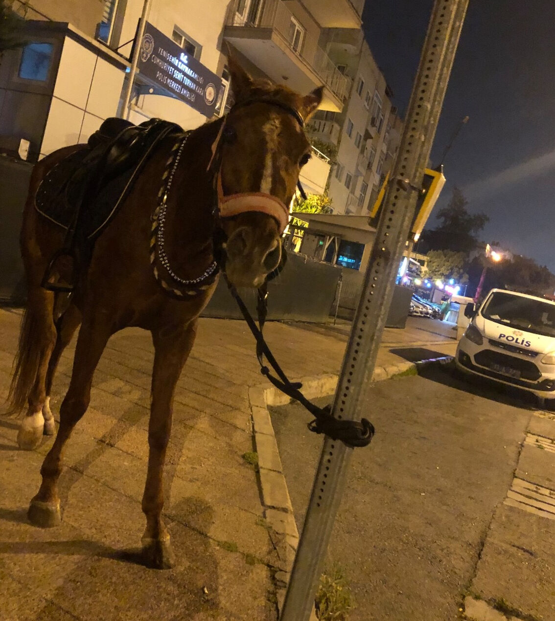 Atla giderken polis durdurdu, yediği cezaya anlam veremedi: Böyle bir ceza şekli yok - 2. Resim