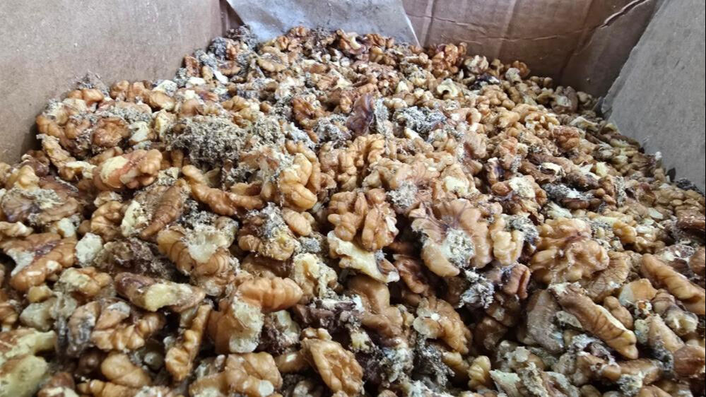 Depolarında tonlarca kurtlanmış ceviz yakalanmıştı! Ünlü baklavacıdan çelişkili açıklamalar - 2. Resim