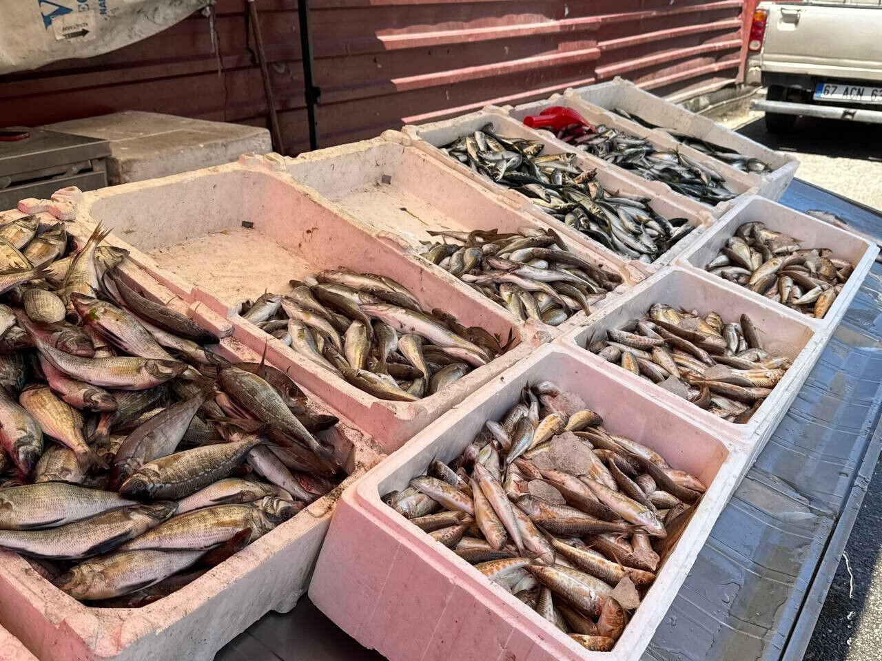 Sofranızda en lezzetlisini tercih edin: Mayıs ayında hangi balık yenir? - 2. Resim