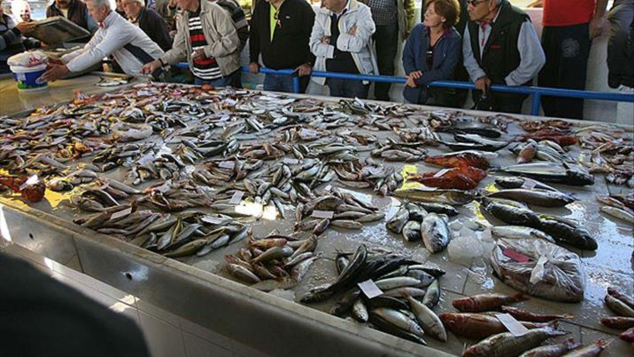 Sofranızda en lezzetlisini tercih edin: Mayıs ayında hangi balık yenir? - 3. Resim