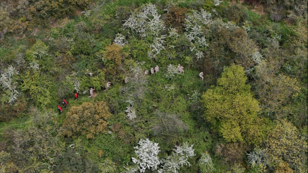 Sultangazi'de kaybolan demans hastası İshak Öztürk'ten acı haber! - 2. Resim