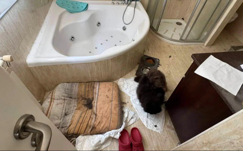 Elektrik kesintileri, aile içi istismarı ortaya çıkardı! Covid korkuları işkenceye dönüştü Elektrik kesintileri, aile içi istismarı ortaya çıkardı! Covid korkuları işkenceye dönüştü - 3. Resim