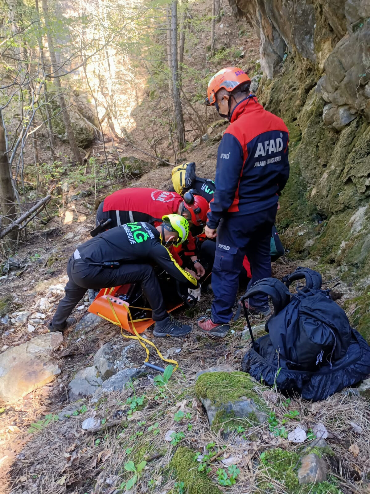 Mantar toplamak için evden çıkmıştı! Günlerdir aranan 70 yaşındaki yaşlı adamdan acı haber - 3. Resim