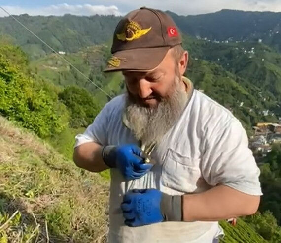 1 metre boyunda, zehir saçıyor! Herkes kaçarken o boynuna kolye gibi doladı - 2. Resim