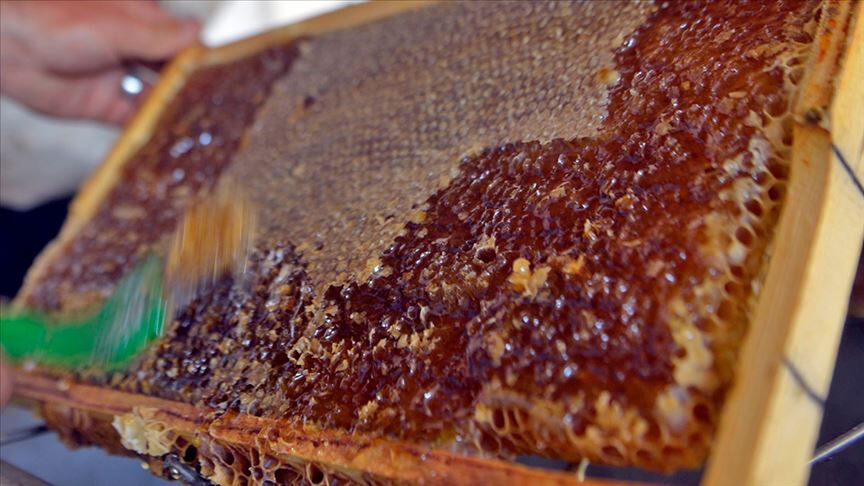 AB yolunda imzalar atıldı! Türk ekonomisine büyük katkı sağlayacak AB yolunda imzalar atıldı! Türk ekonomisine büyük katkı sağlayacak - 1. Resim