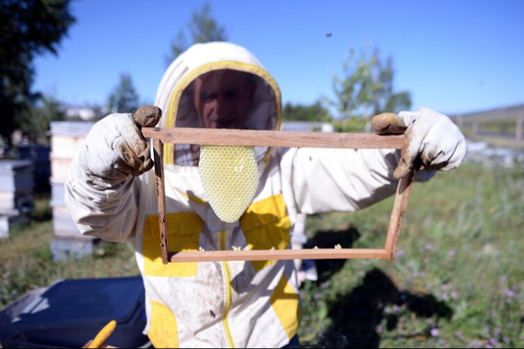 AB yolunda imzalar atıldı! Türk ekonomisine büyük katkı sağlayacak AB yolunda imzalar atıldı! Türk ekonomisine büyük katkı sağlayacak - 2. Resim