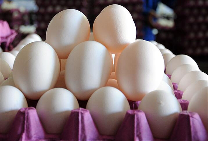 Bunu öğrenince yumurtanın kabuğunu atmayacaksınız! "Çok değerli..." - 7. Resim