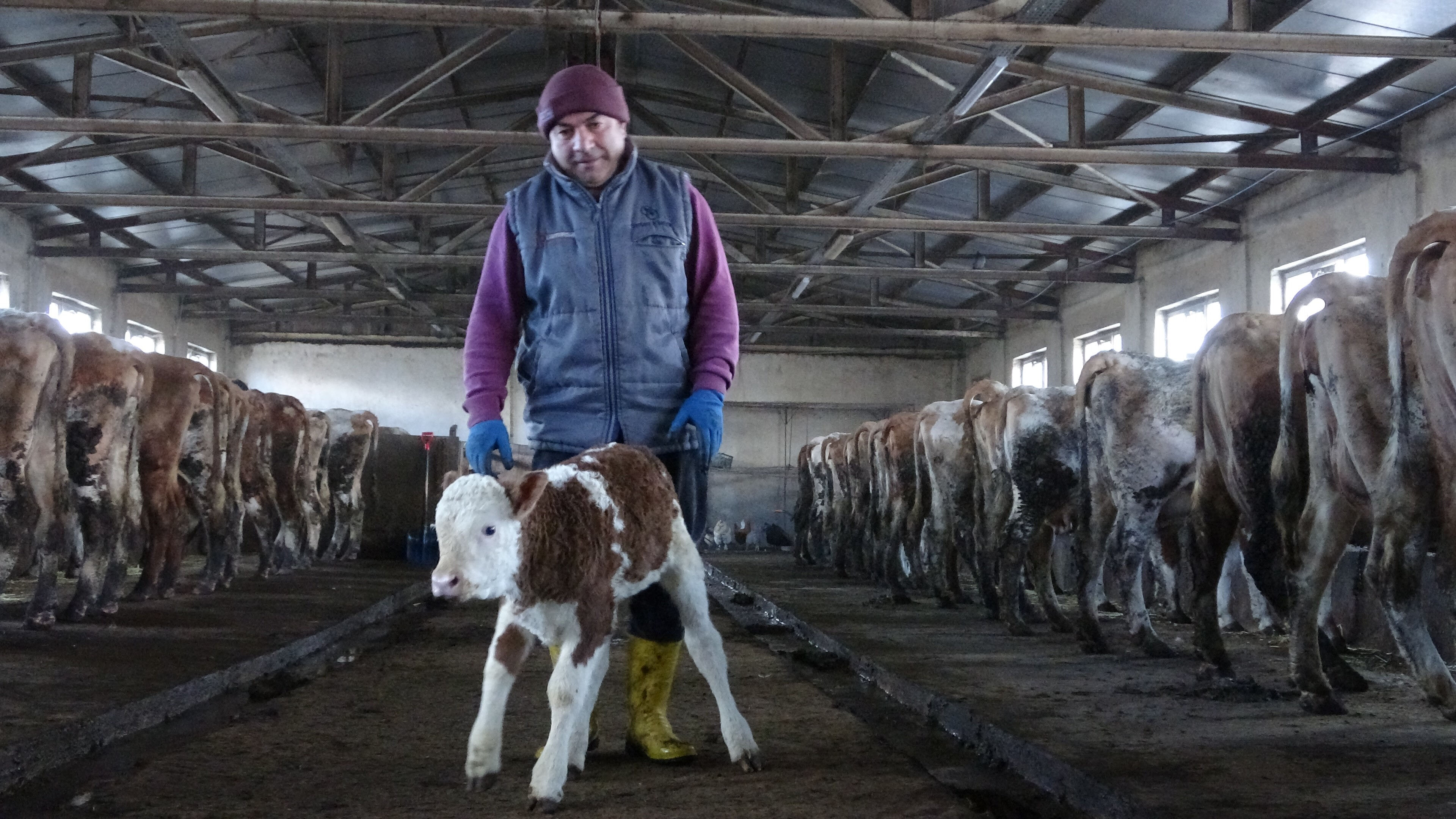 Maliyete zam gelmesine rağmen fiyat aynı kaldı, işletmeler kapandı! 21 TL'lik ürünü 16 TL'ye sattılar Maliyete zam gelmesine rağmen fiyat aynı kaldı, işletmeler kapandı! 21 TL'lik ürünü 16 TL'ye sattılar - 2. Resim