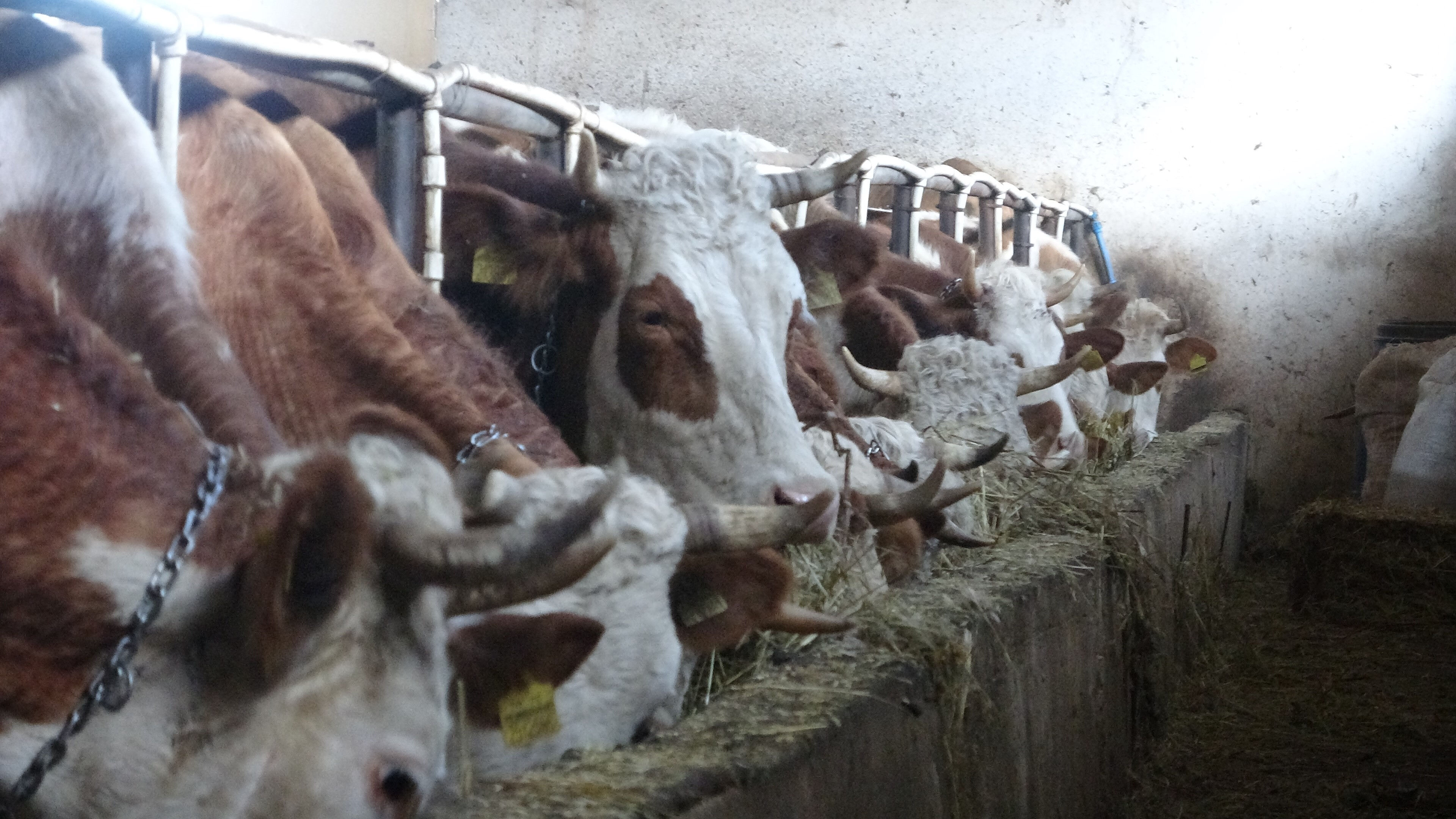 Maliyete zam gelmesine rağmen fiyat aynı kaldı, işletmeler kapandı! 21 TL'lik ürünü 16 TL'ye sattılar Maliyete zam gelmesine rağmen fiyat aynı kaldı, işletmeler kapandı! 21 TL'lik ürünü 16 TL'ye sattılar - 4. Resim